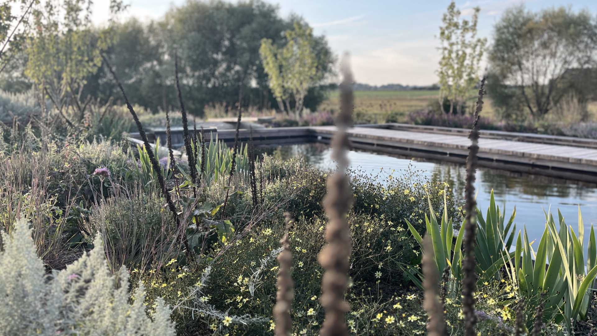 Přírodní bazén – biobazén Ateliéru A57 z dřevěné vany WoodFlow s filtrací AquaSense A57, obklopený trvalkovou zahradou a stromy.